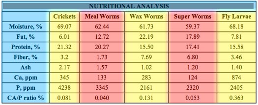 Leopard Gecko Feeding Chart