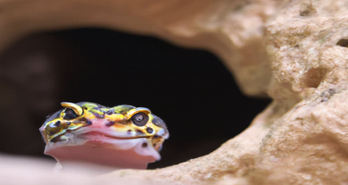 Can Leopard Geckos Live Together